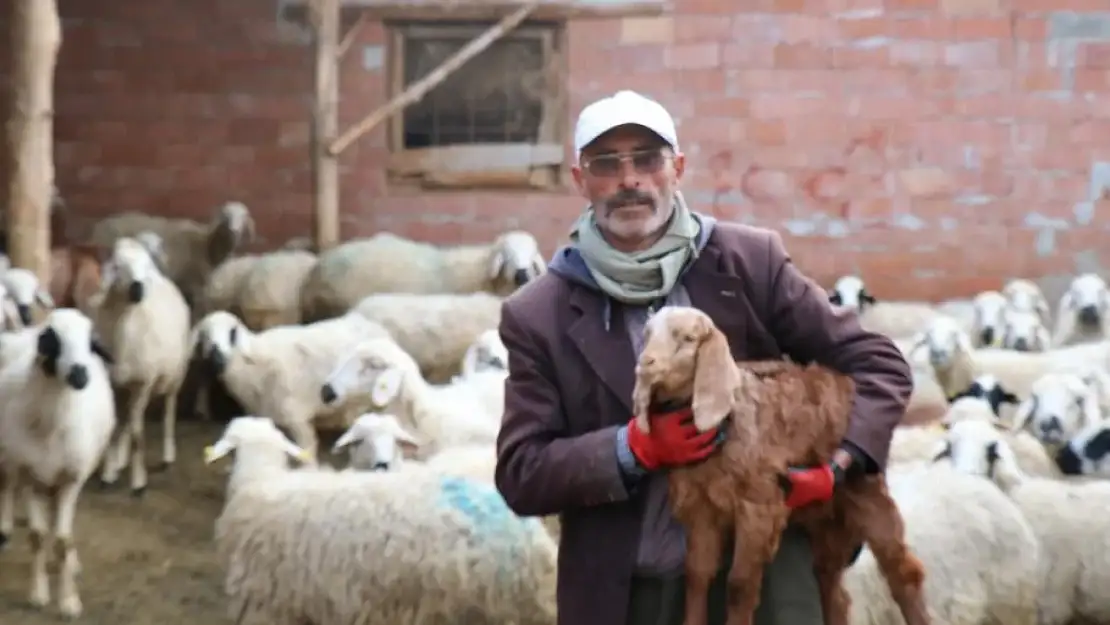 Muhtarlığı Kaybetti Sosyal Medyada Gündem Oldu