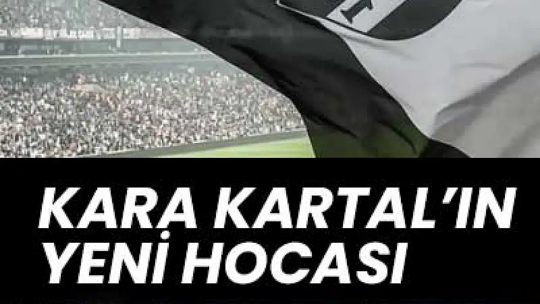 Beşiktaş'ın Yeni Hocası Kim Olacak? Yönetim Harekete Geçti