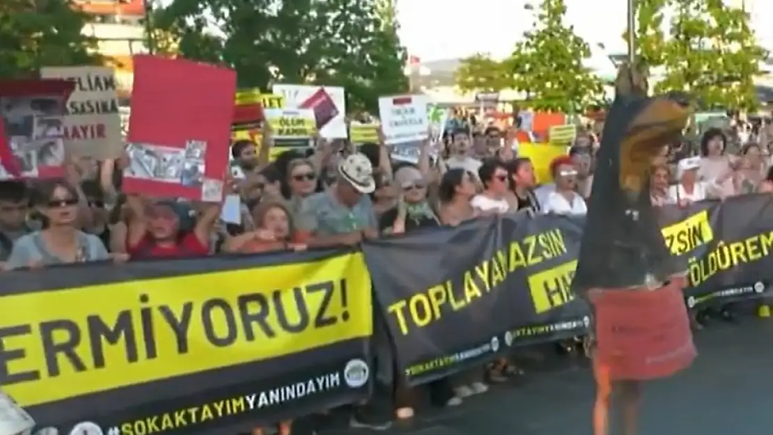 Sokak Köpeği Yasasını Protesto Etmek İçin Köpek Kılığına Girdiler!