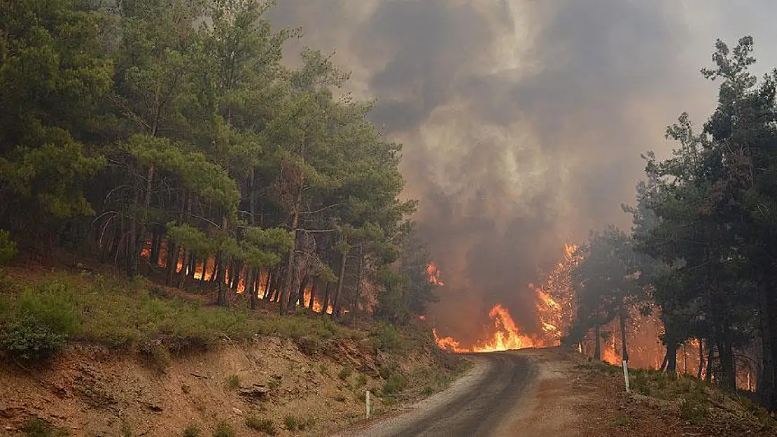 Son Bir Haftada 576 Orman Yangını Meydana Geldi
