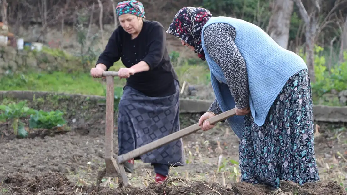 Tarımın Geleceği Alarm Veriyor Gençler Tarlaya Girmiyor