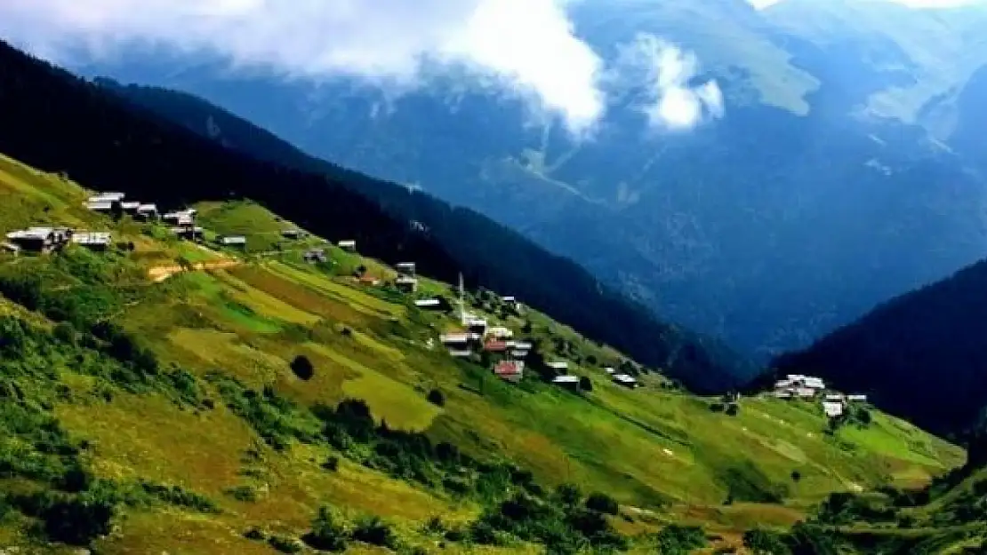 Trabzon' da Fıkra Gibi Muhtarlık Yarışı