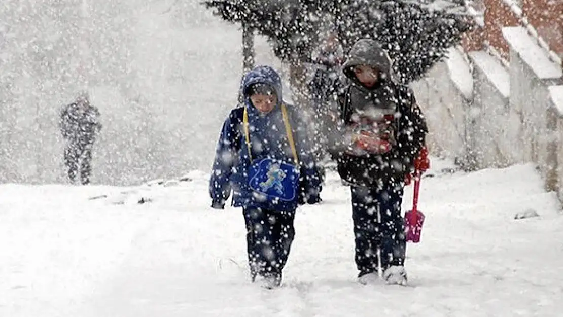 Tunceli ve Bingöl'de Eğitime 'Kar' Engeli