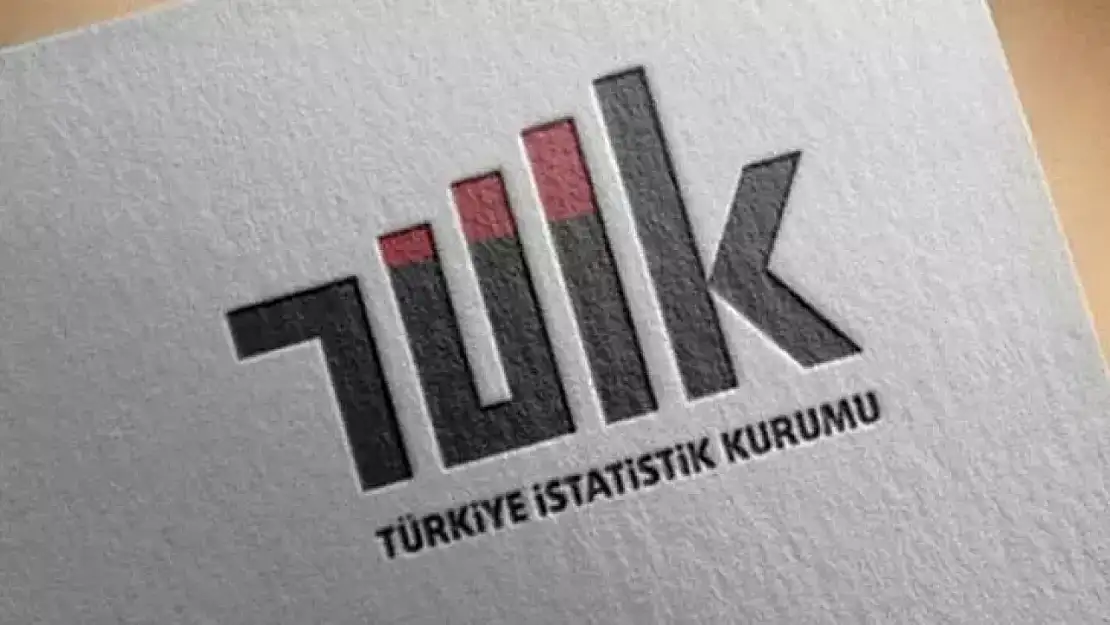Türkiye Ekonomisi 2024'te  Büyüdü