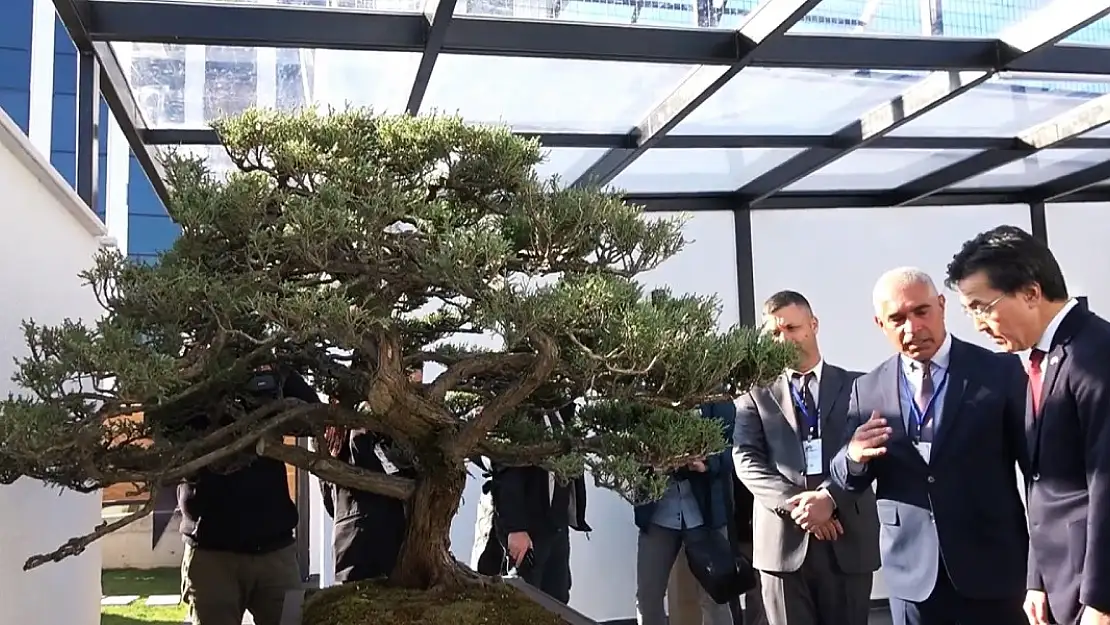 Türkiye'nin İlk, Avrupa'nın En Büyük Bonsai Müzesi Açıldı