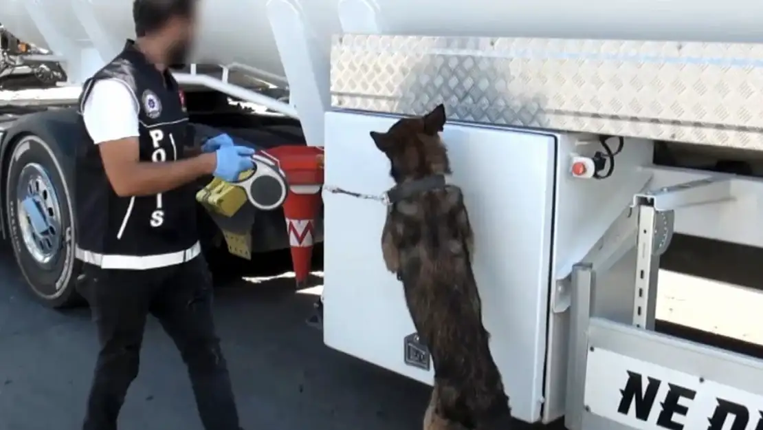 Uyuşturucu Tacirleri Kokuyu Gizlemek İçin Her Yolu Denediler Ama Dedektör Köpekten Kaçamadılar