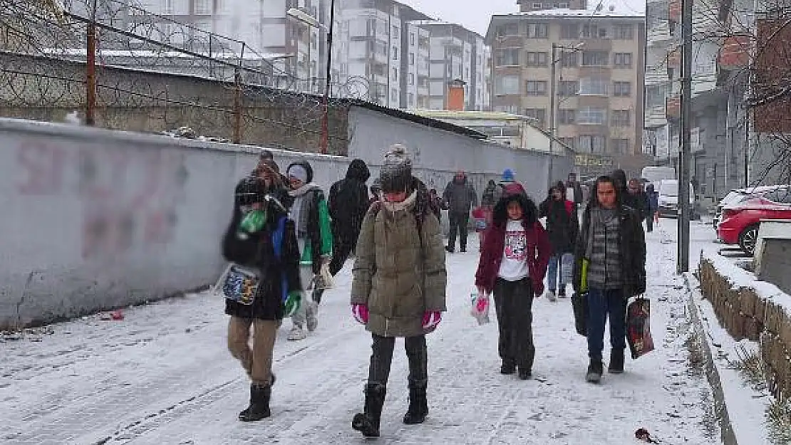 Van'da hangi ilçelerde kar tatili var?