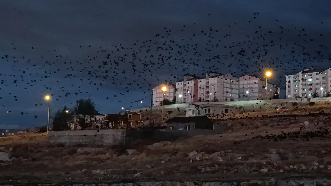 Van'da Gökyüzüne Bakanlar Şaşkına Döndü!