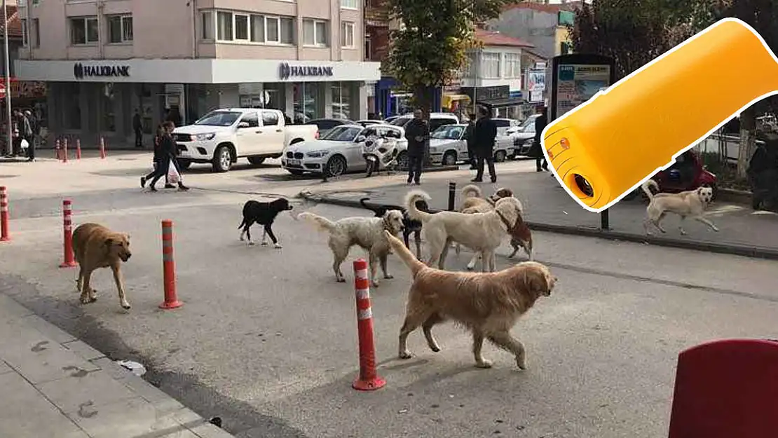 Vatandaş çözümü 'Köpeksavar'da buldu