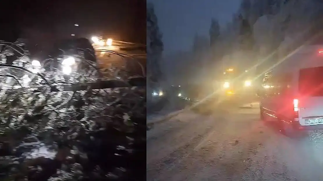 Yoğun Kar Yağışı Nedeniyle Ağaçlar Devrildi! Kara Yolu Ulaşıma Kapandı!