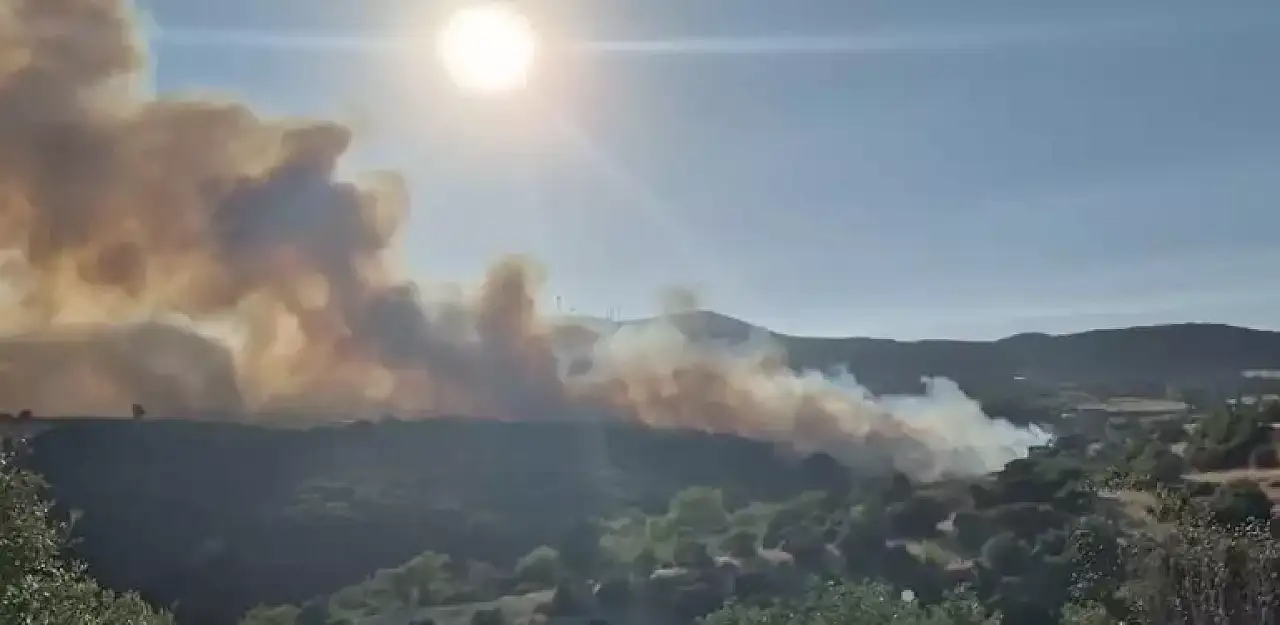 Balıkesir'de orman yangını