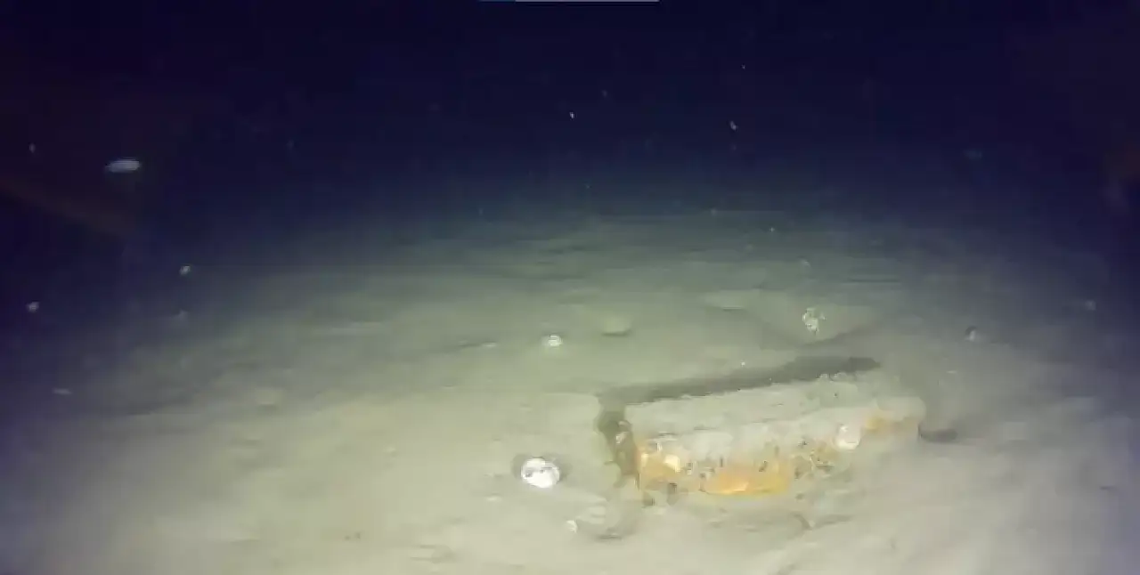 THY'nin 50 yıl önce düşen uçağının enkazından yeni parçalar bulundu