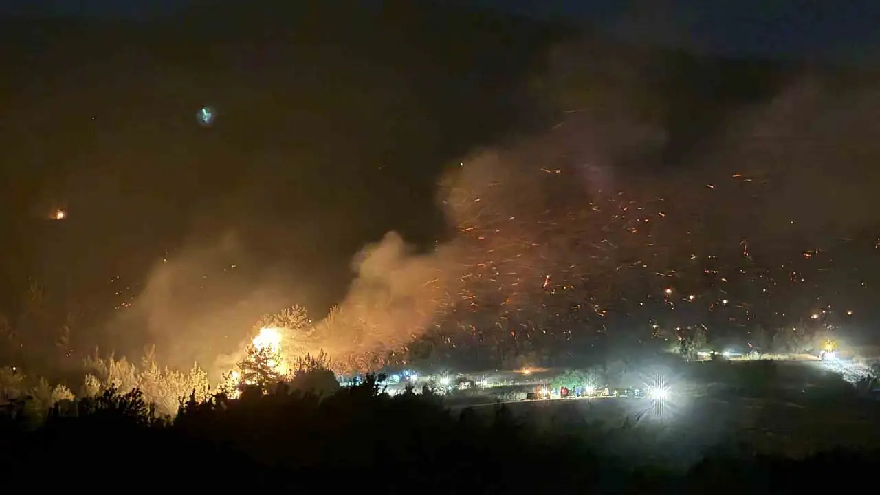 Sakarya-Bilecik sınırında alevler yeniden yükseldi