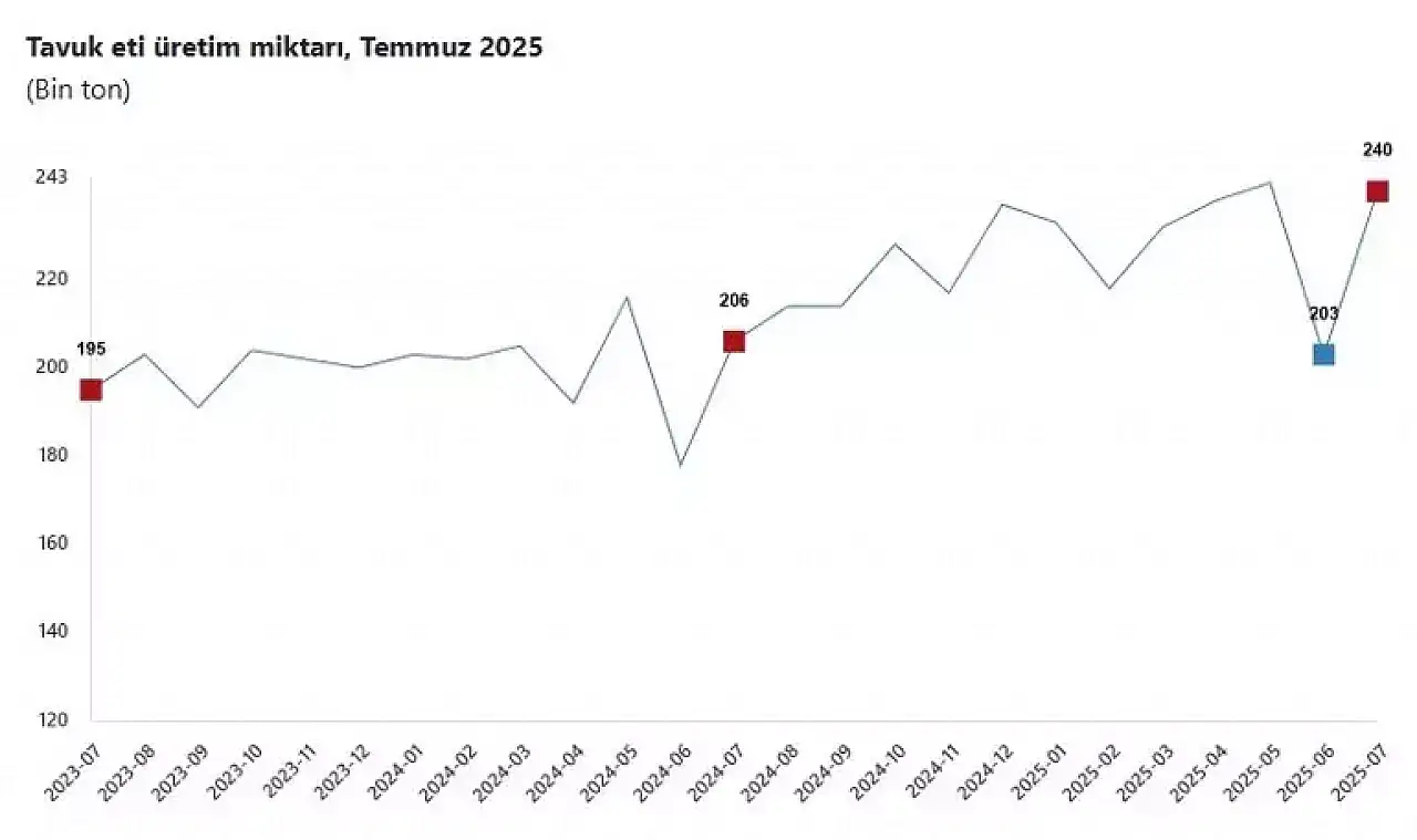 TÜİK: Yumurta, tavuk eti ve içme sütü üretimi arttı