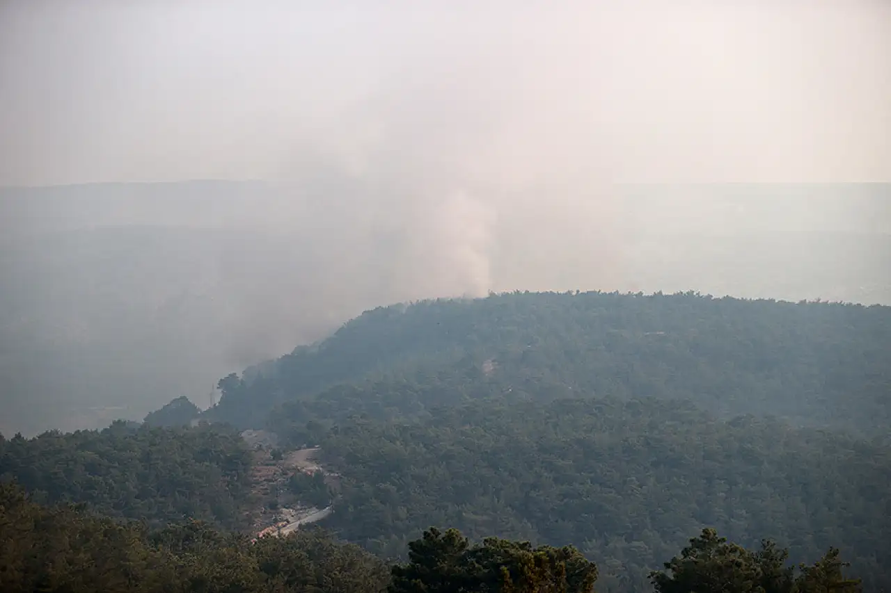 Mersin'in Silifke ve Hatay'ın Hassa'da orman yangınlarına müdahale sürüyor