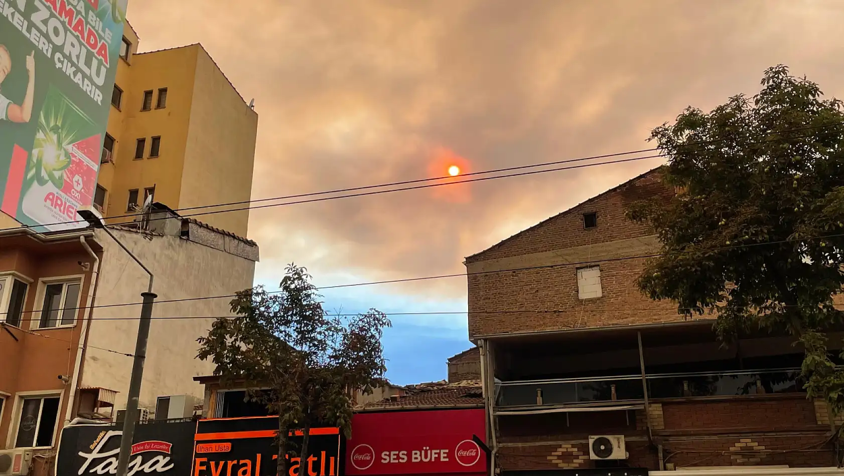 Bolu'daki Orman Yangınının Dumanı Eskişehir'e Kadar Yayıldı