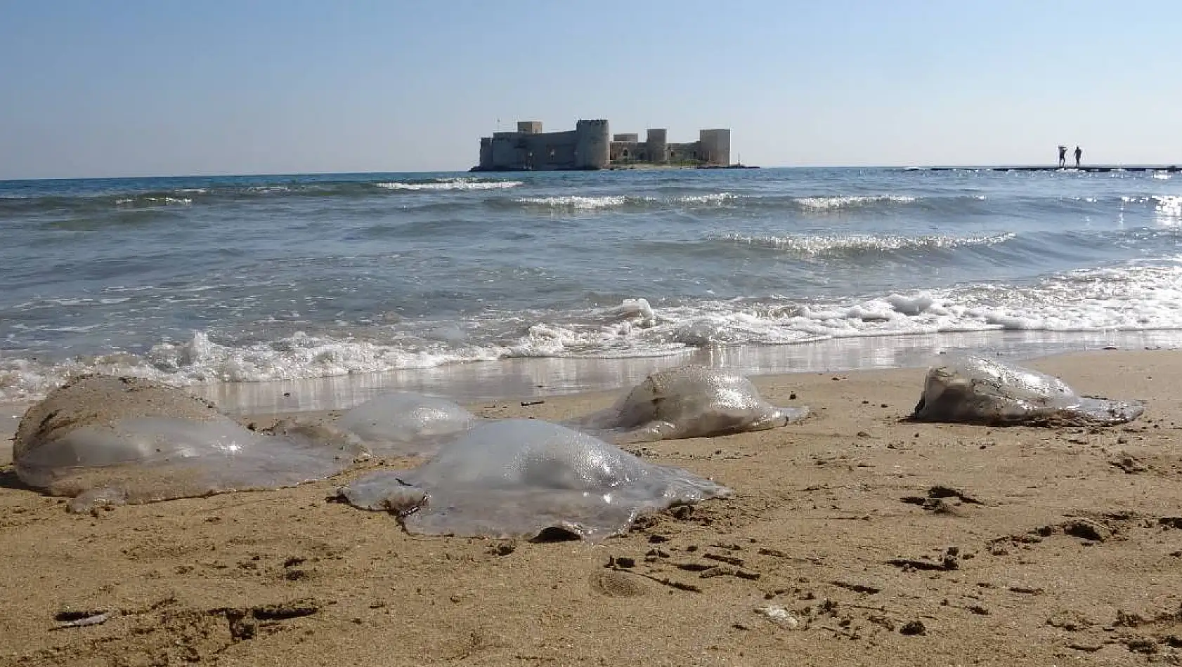 Denizanaları Turizmi Tehdit Ediyor