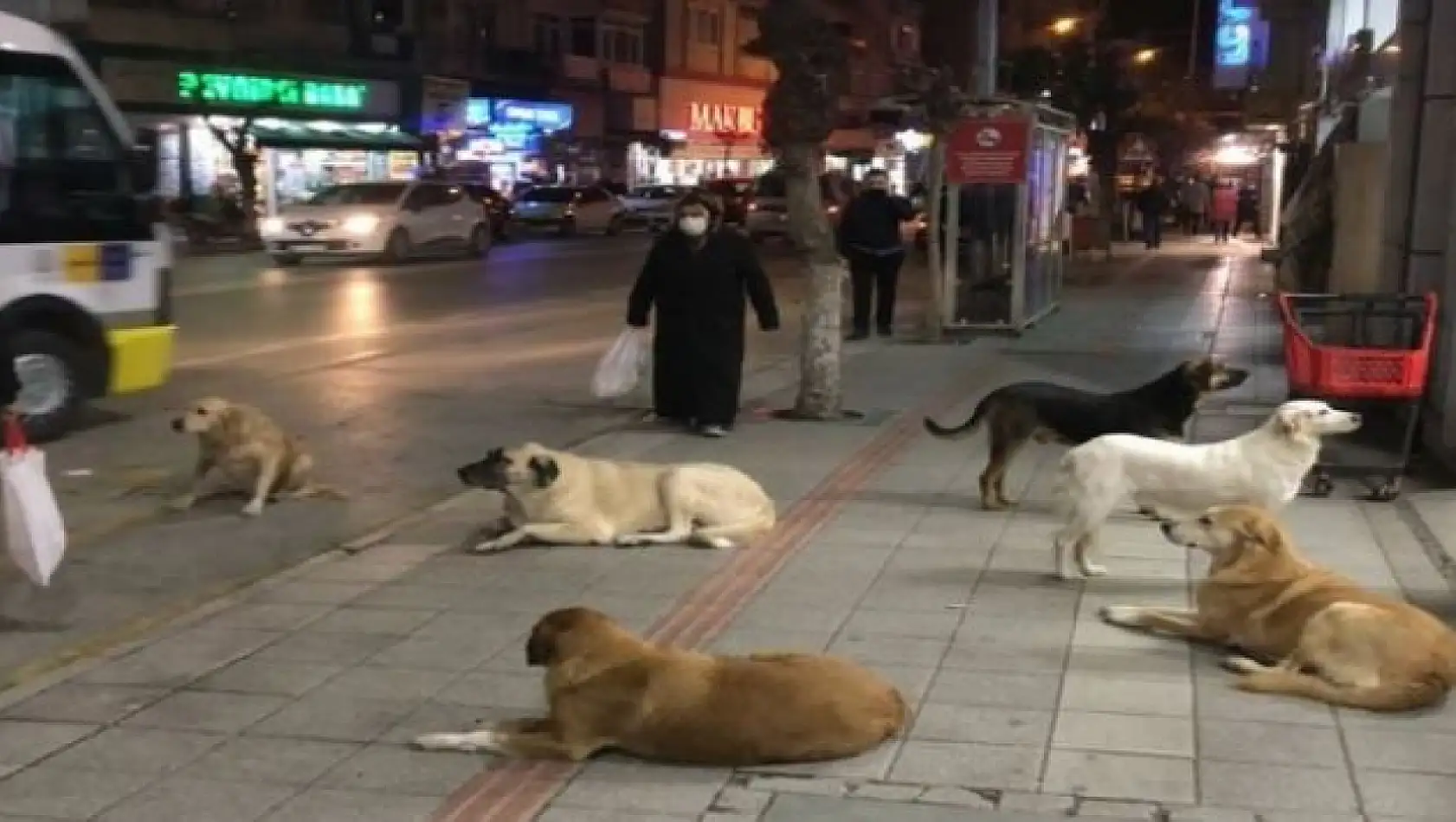 İnsanlar Korkudan Dışarı Çıkamaz Oldu! Onlar TBMM Önünde 'Toplayamazsın' Diyerek Eylem Yaptı