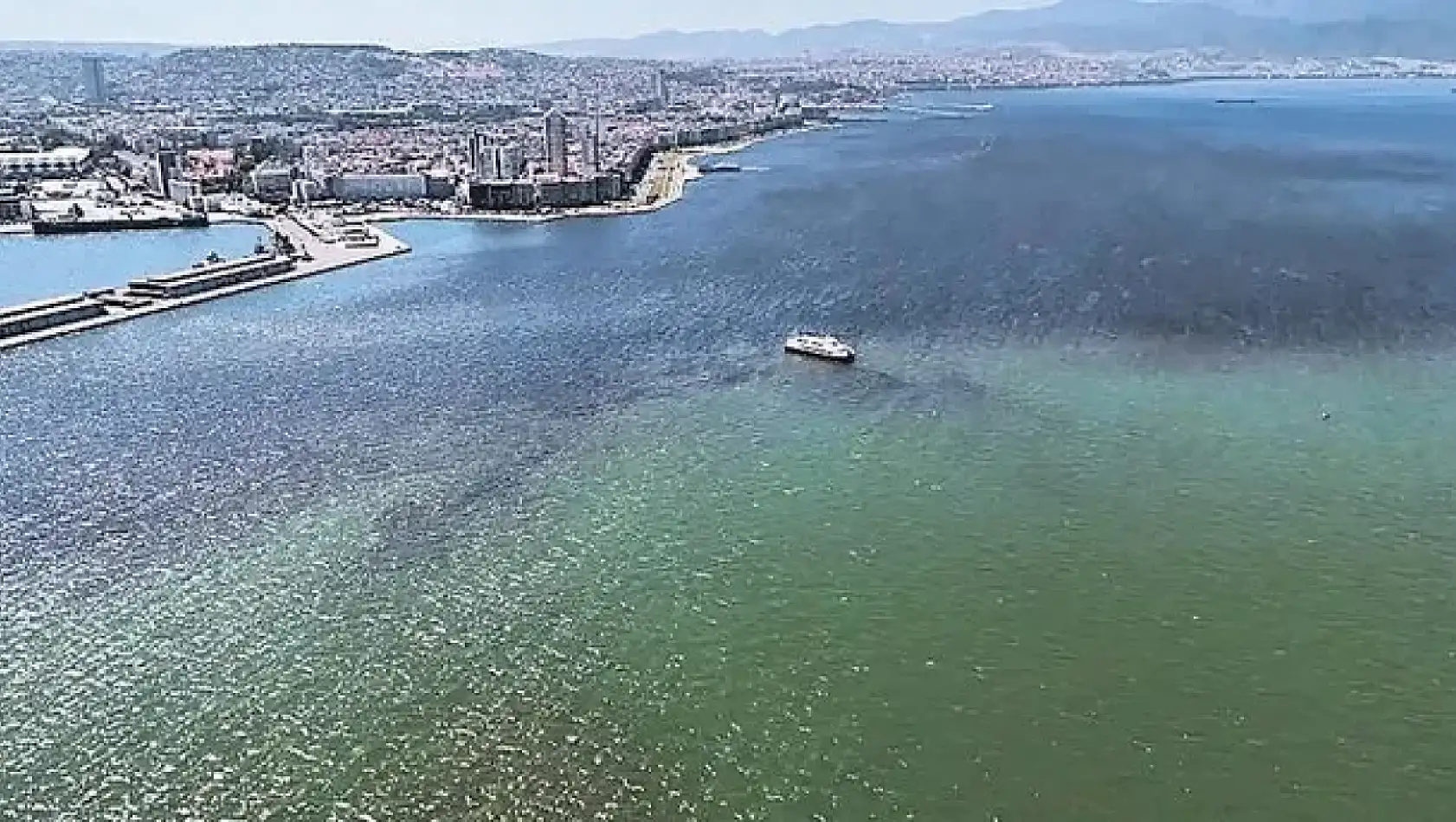 İzmir Körfezi için kurul bu hafta toplanacak