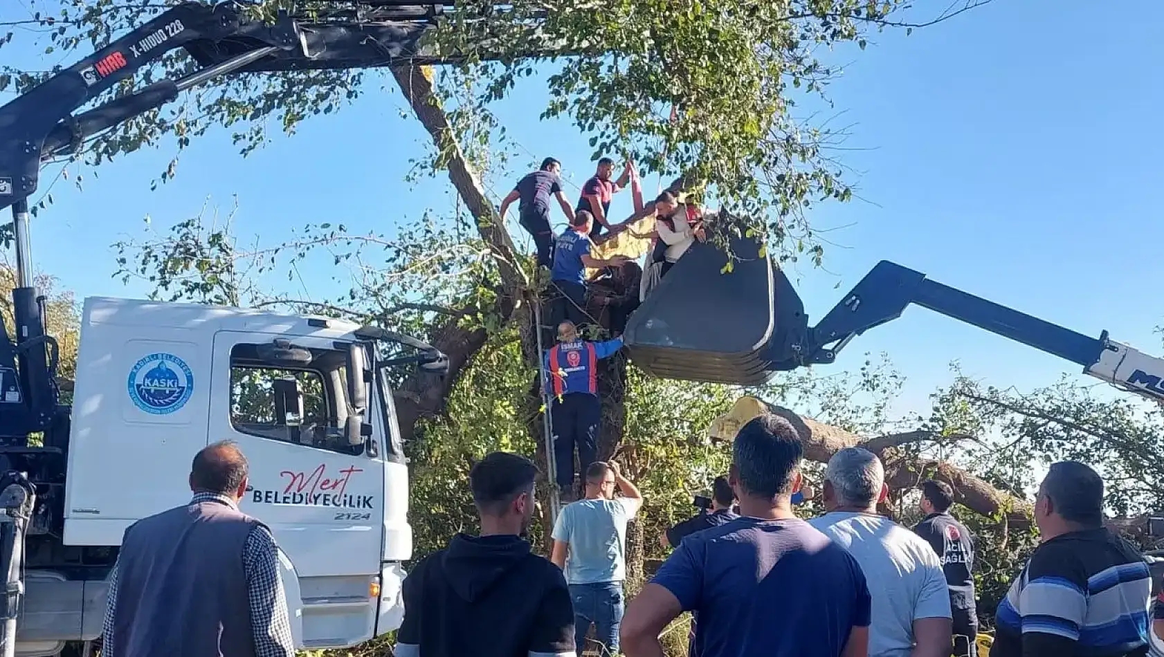 Kestiği ağacın altında kalarak hayatını kaybetti