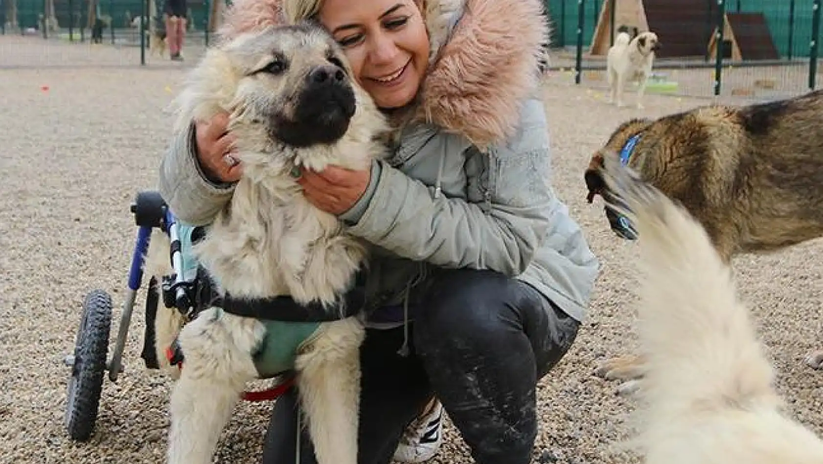 Köpekvelisi İsimli Kadın Gerçekte Kim? İşte Detaylar!