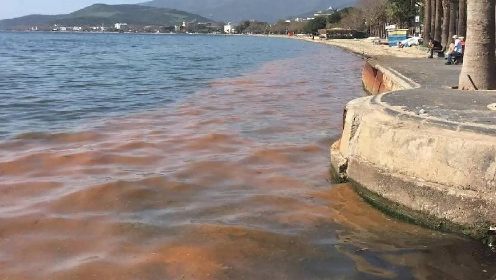 Marmara Denizi'nde Müsilaj Alarmı