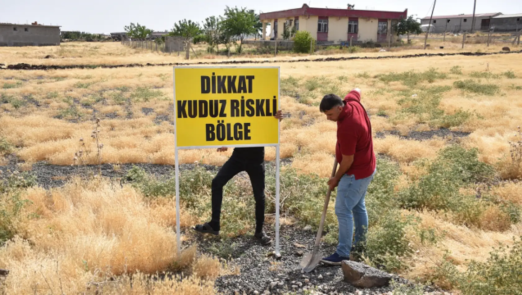 Şanlıurfa'da Bir Mahalle Kuduz Nedeniyle 10 Gün Karantinaya Alındı