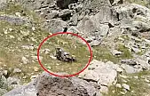 Bilirkişi Ekibinin Otomobili, Şarampole Yuvarlandı 5 Ölü