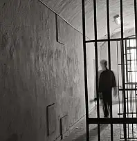 Adalet Bakanlığı Af Gelecek İddialarını Yalanladı