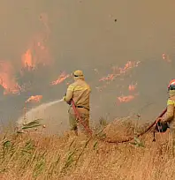 Çanakkale'de Orman Yangınına 8 Uçak, 4 Helikopterle Havadan Müdahale Ediliyor