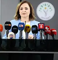 DEM Parti'li Doğan Silah Bırakan Herkes Düzenleme Kapsamına Girmeli