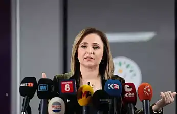 DEM Parti'li Doğan Meclis Artık Barış Mesaisi Yapmalı