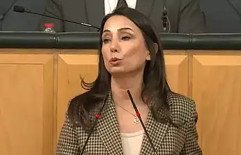 DEM Parti'li Hatimoğulları Komisyonun Öcalan İle Görüşmesi Süreci Daha da Hızlandıracak