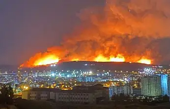 İzmir Buca'da başlayıp Gaziemir'e ilerleyen yangın evlere 50 metre kala söndürüldü
