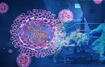 Korkulan Oldu Mutasyona Uğramış H3N2 Türkiye'de