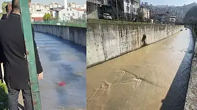 Samsun'da derede erkek cesedi bulundu