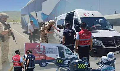 15 göçmen kaçakçılığı organizatörü ve 446 düzensiz göçmenin yakalandı