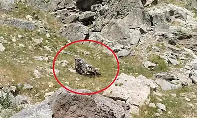 Bilirkişi Ekibinin Otomobili, Şarampole Yuvarlandı 5 Ölü