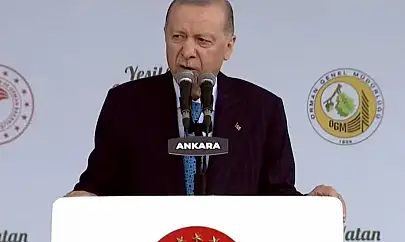 Cumhurbaşkanı Erdoğan'dan Orman Yangınlarına İlişkin Açıklama