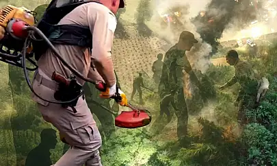 Diyarbakır'da 70 ton toz esrar elde edebilecek 3 milyon 476 bin adet kök kenevir ele geçirildi