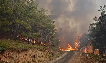 Son Bir Haftada 576 Orman Yangını Meydana Geldi