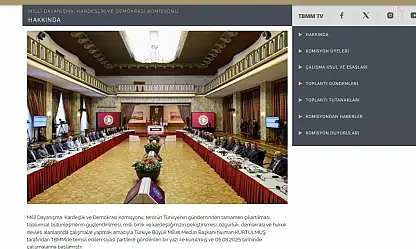 TBMM'de kurulan Komisyonun Özel İnternet Sitesi Hazırlandı
