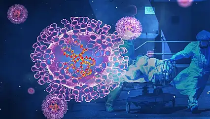 Korkulan Oldu Mutasyona Uğramış H3N2 Türkiye'de