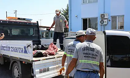 1.5 Ton At ve Eşek Eti İle Yakalattı! Savunması ise Şok Etti