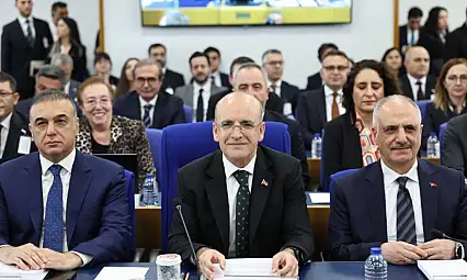 Hazine ve Maliye Bakanı Mehmet Şimşek'ten Asgari Ücret Açıklaması