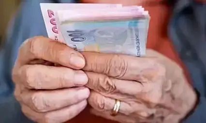 Vatandaşlık Maaşı Detayları Netleşti! Kimler Ne Kadar Alacak?