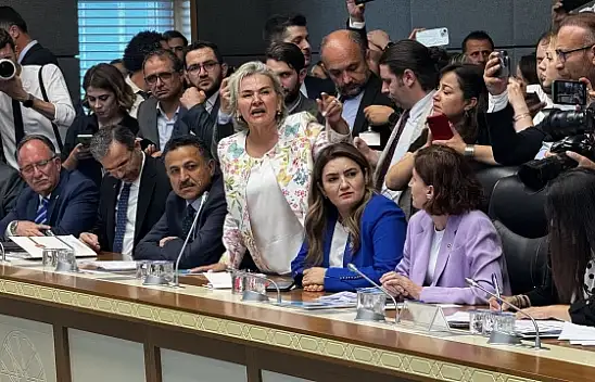 Sokak Köpeği Sorunu Vekilleri Birbirine Düşürdü!