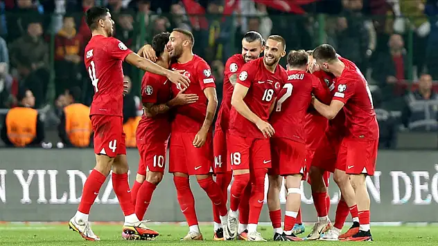 A Milli Takım'ın, ABD ve Meksika maçları aday kadrosu açıklandı