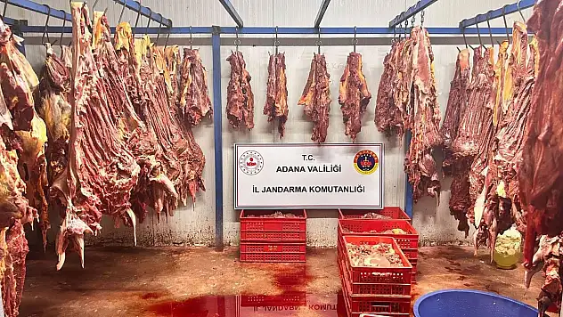 Adana'da kaçak et operasyonu: 3 ton bozulmuş at eti ele geçirildi!