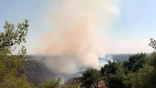 Adana'da orman yangını